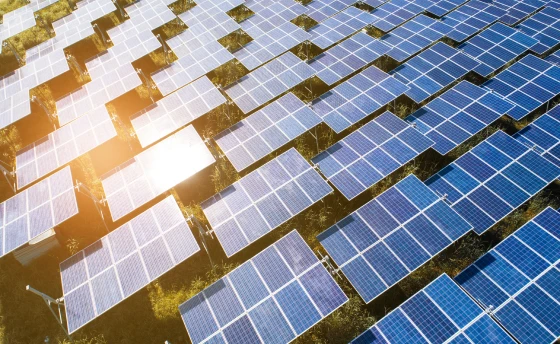 Paneles solares que aprovechan la energía renovable de los rayos del sol.